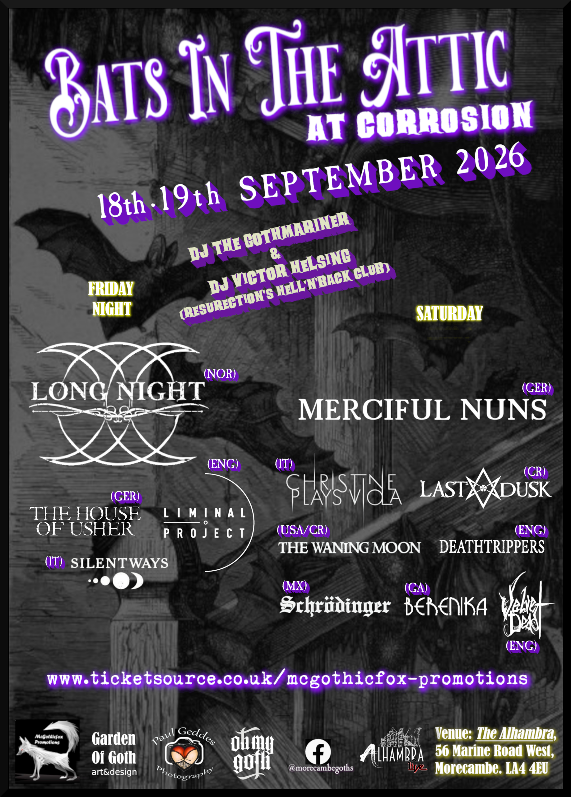 bats-in-the-attic-2026